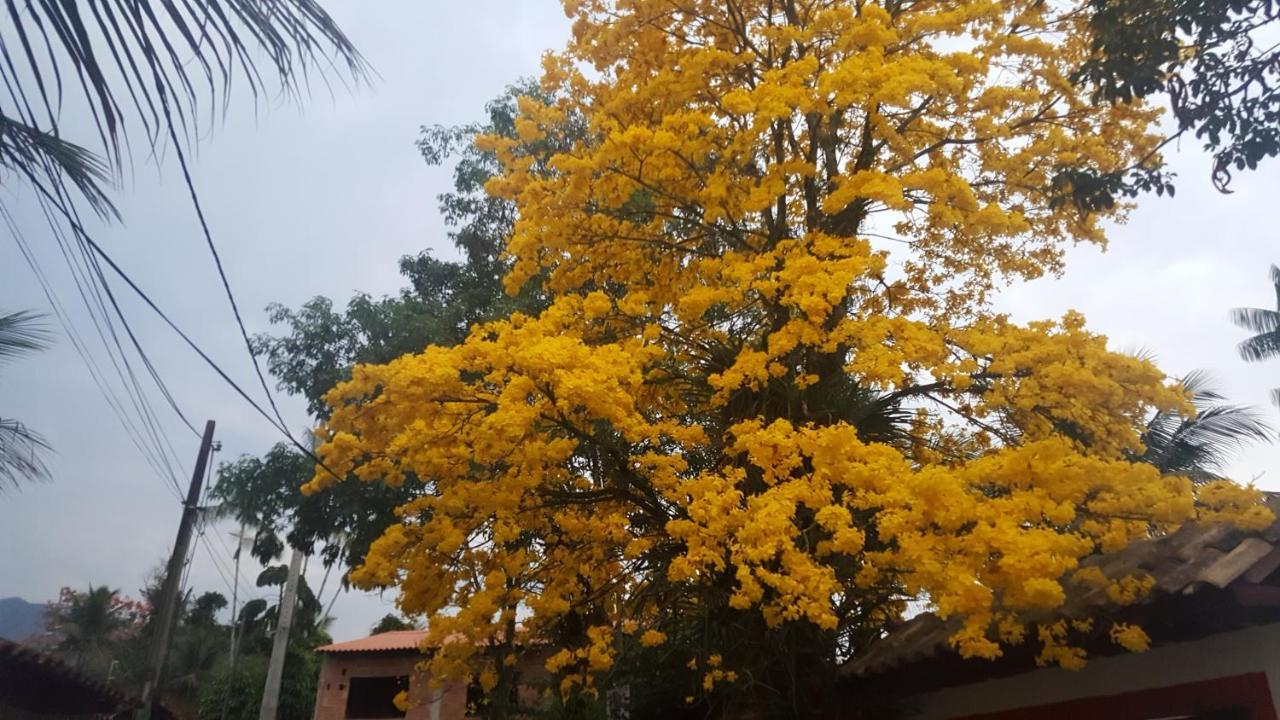 Suites Beija-Flor 帕拉蒂 外观 照片