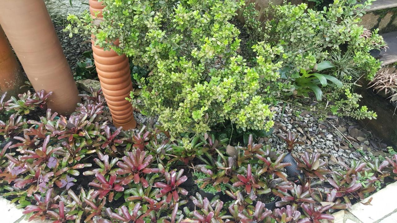 Suites Beija-Flor 帕拉蒂 外观 照片